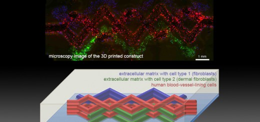 5_Figure 4_WEAVE Structure_5