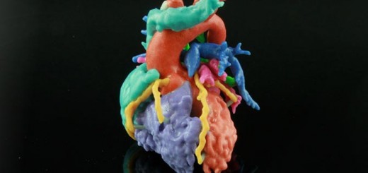 Materialise-heart-models