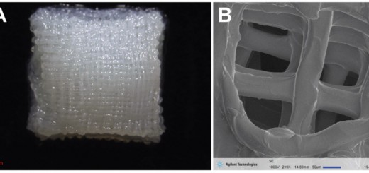 3d-printed-stem-cells-microscope