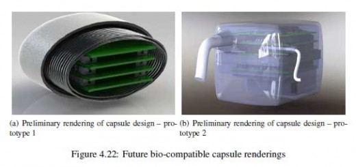 bio-compatible-renderings