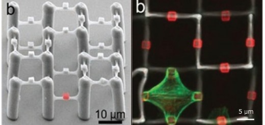 nanoscribe