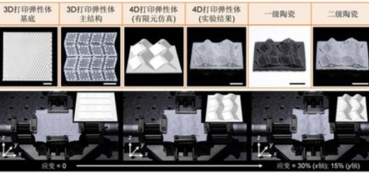 4D printing_ceramics 3