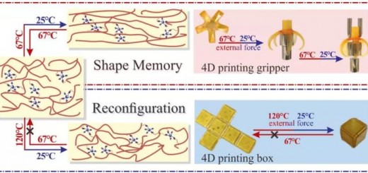 4D research