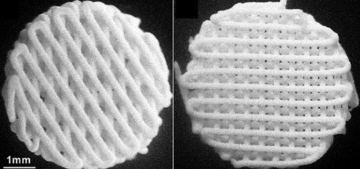 part_ceramic bone_scaffold