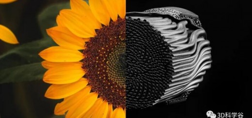 hyperganic_Heat_Sunflower