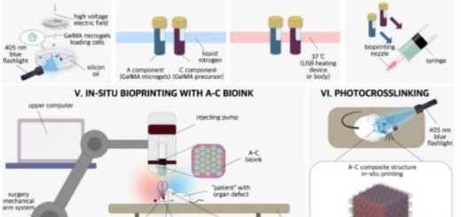 article_Bioink_2