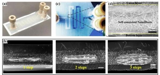 article_Microfluidics_3