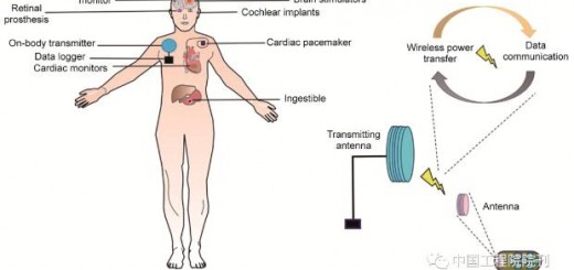 engineering_Bio_1