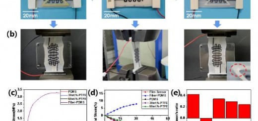 article_stretchable_DIW_2