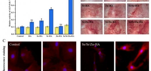 article_Bio material_4