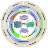 article_Zhongnan_Biomedical_1