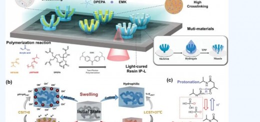 article_Nano_1